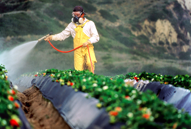 01 farmer pesticide plate