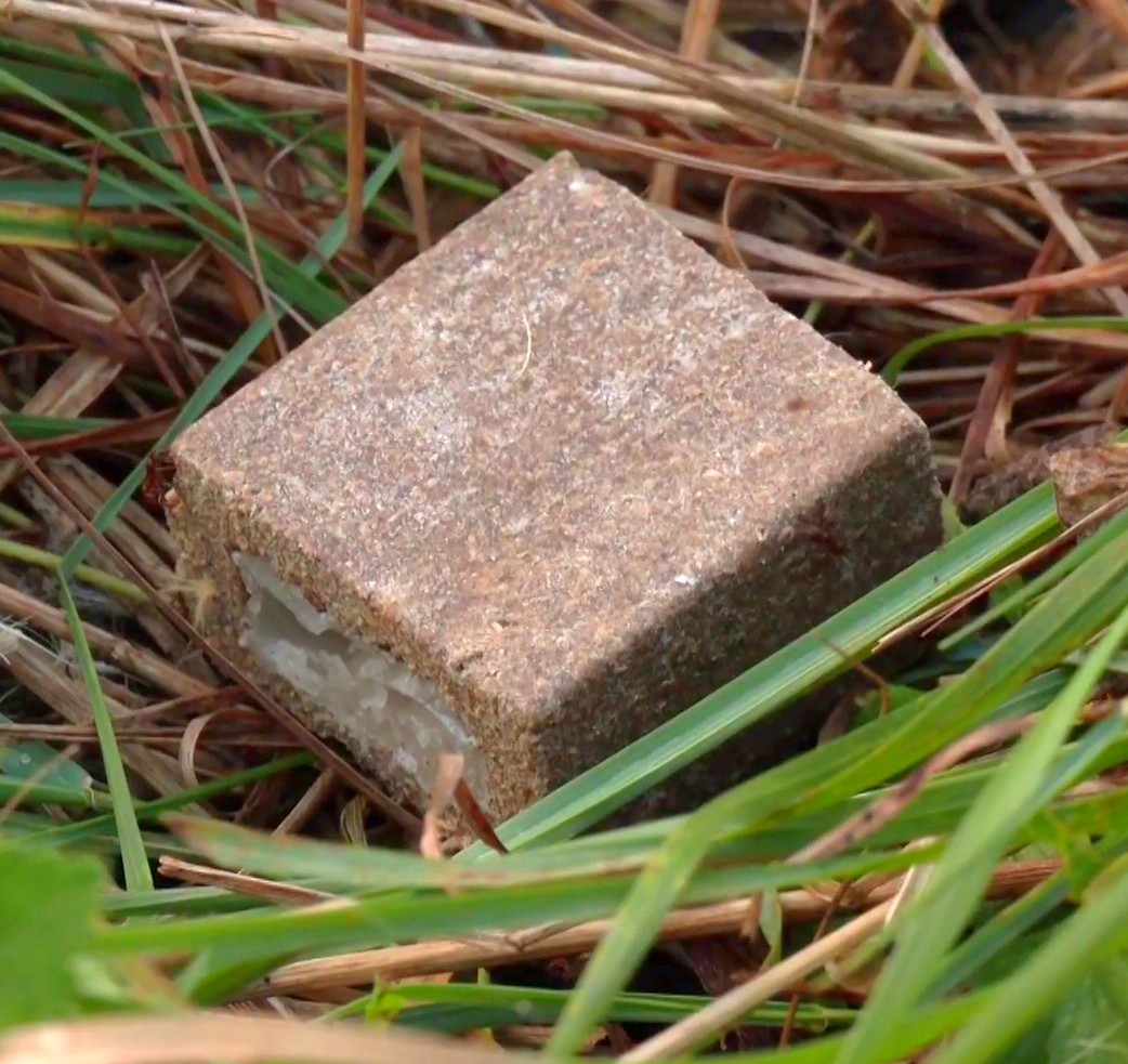 03