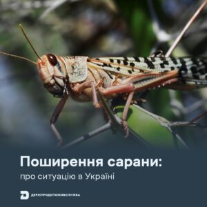 https://odesa.consumer.gov.ua/wp-content/uploads/2025/07/%D0%B8%D0%B7%D0%BE%D0%B1%D1%80%D0%B0%D0%B6%D0%B5%D0%BD%D0%B8%D0%B5_viber_2025-07-23_12-24-06-964-300x300.jpg